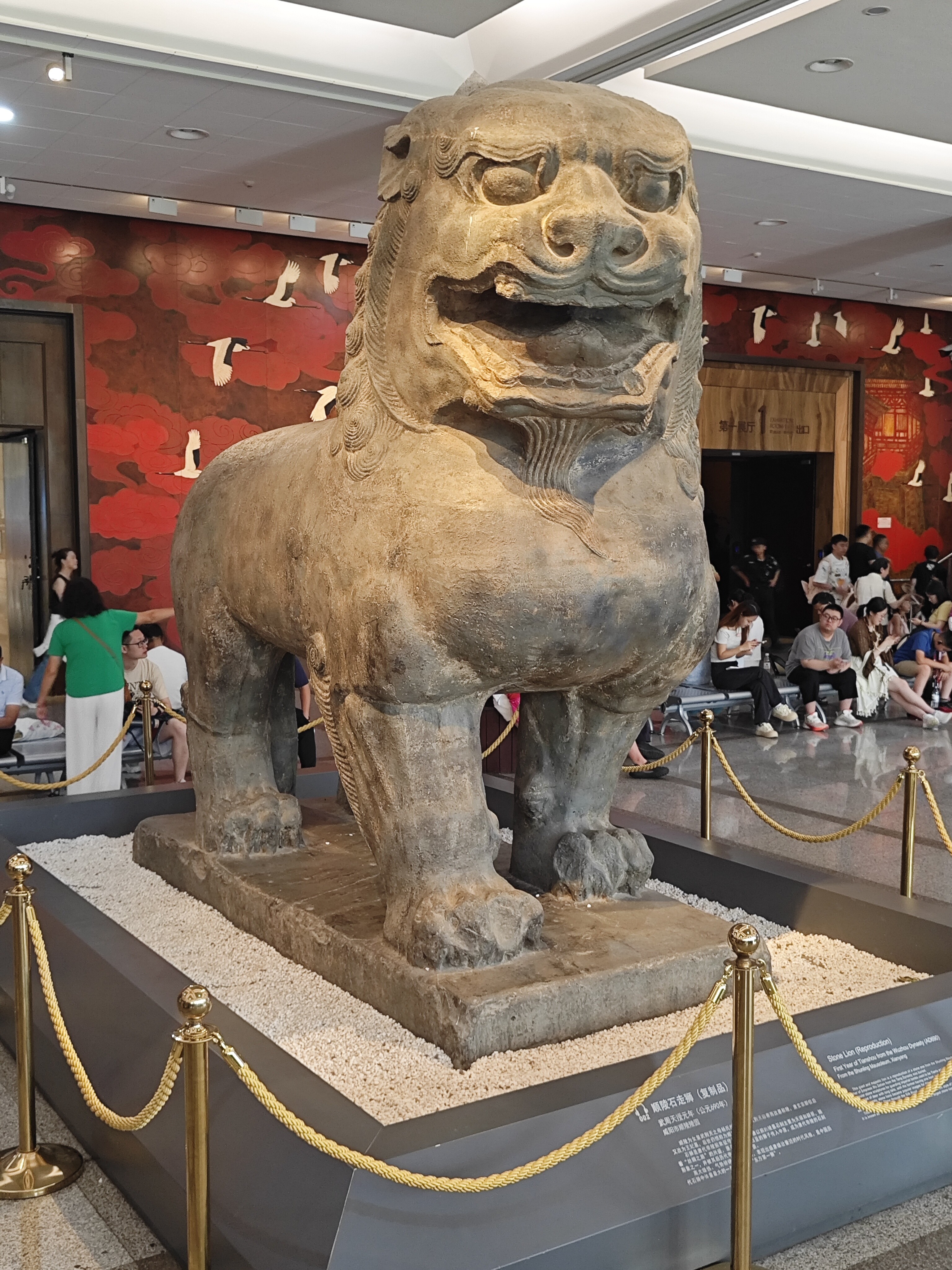 IMG_20250623_100613